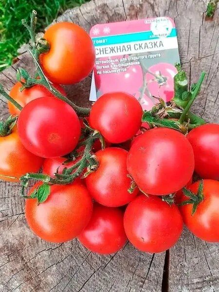 �����, ������� ������� ��� ���: ������� ������ ��� ���������� �������