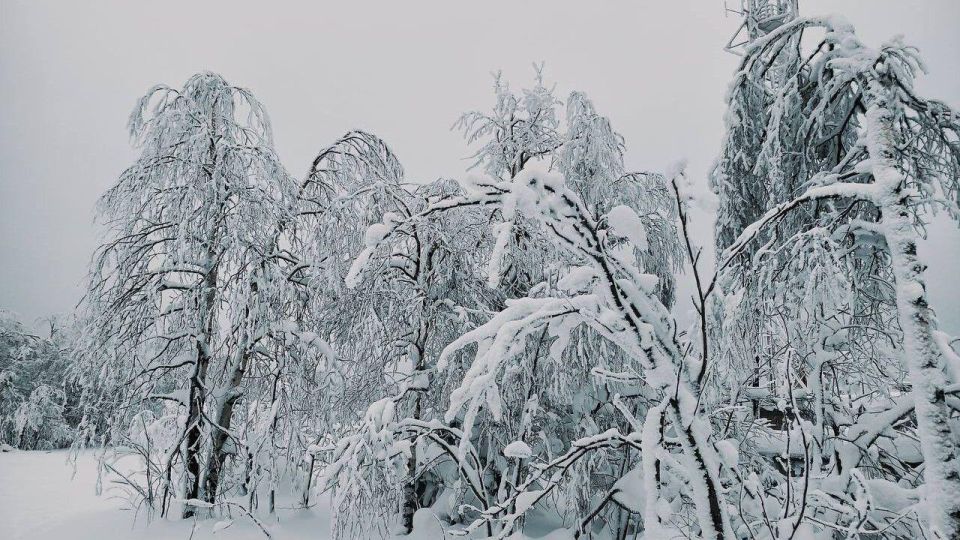 �������� � �������� �������� ������ ��������� � ��������������� ����������