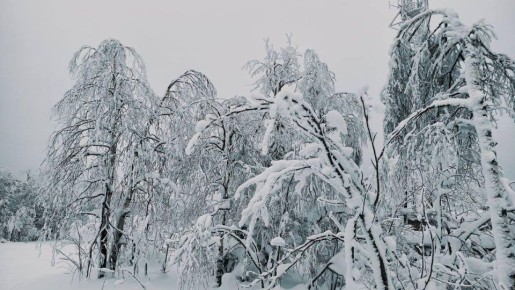 �������� � �������� �������� ������ ��������� � ��������������� ����������