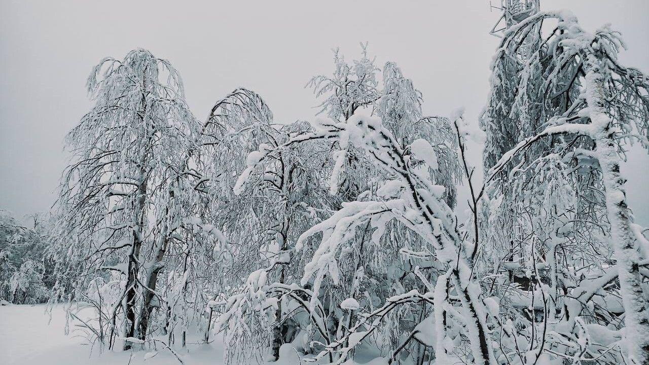 Выходные в Прикамье принесут мощные снегопады и кратковременное потепление