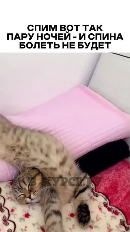 �������� ������� �� �� �����.��