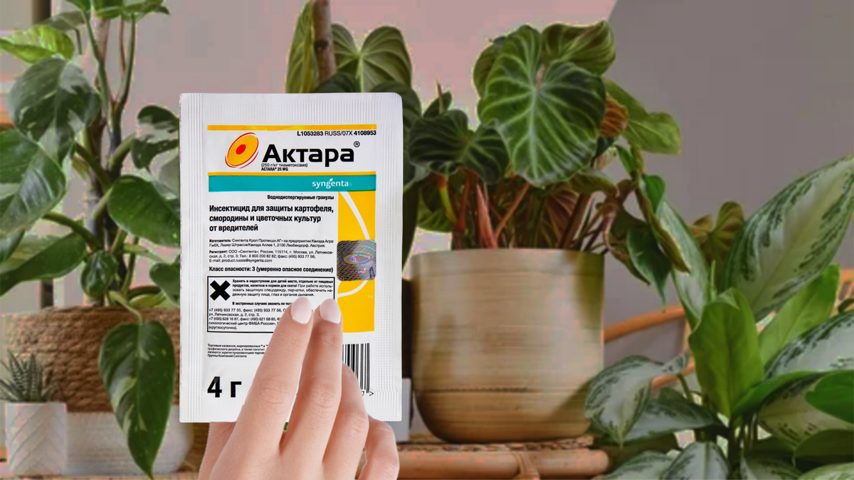 Почему Актара теряет свою эффективность и как избежать распространенных ошибок