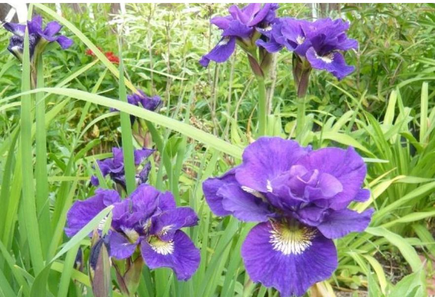 ����� ���������: ��� ��������� ������������� ��������� ��� ������ ����