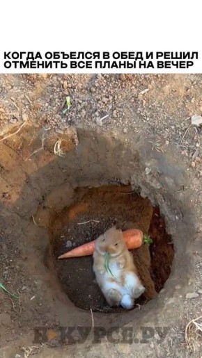 �������� ������� �� �� �����.��