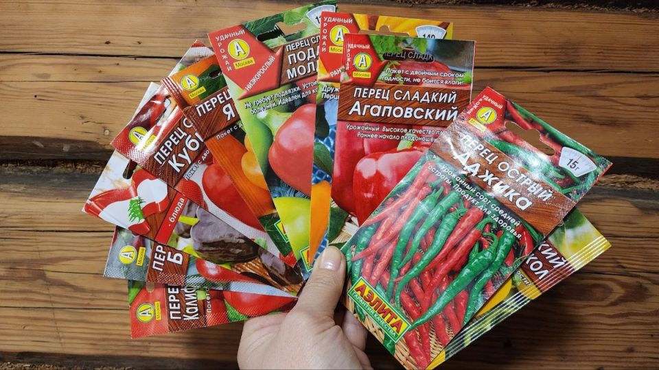 ������ ����� ����� ��� ������� � 2026 ����