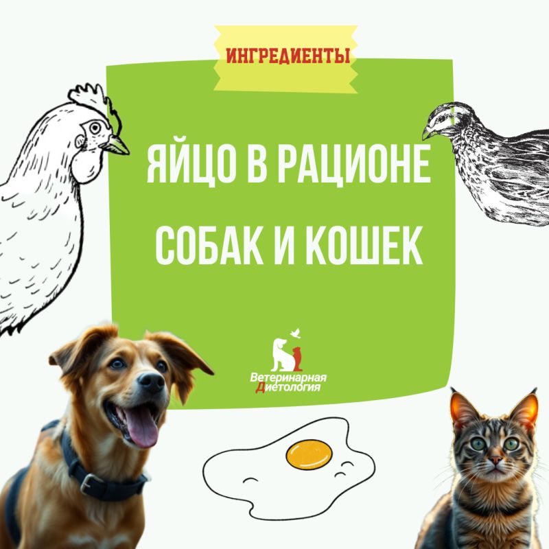 ��������� ������� ���� ��� ����� � �����?