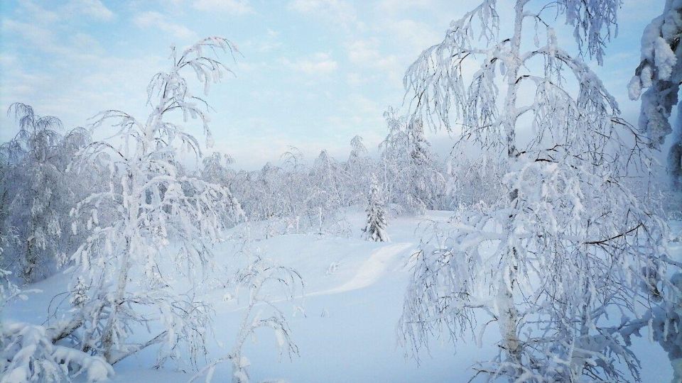 �� ����� �� ������ �������� ����� ������� �� 40% �������� ����� �����