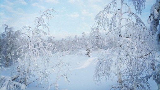 �� ����� �� ������ �������� ����� ������� �� 40% �������� ����� �����