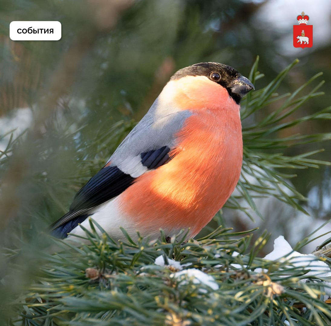 Жителей Прикамья приглашают на мероприятия нового визит-центра в долине реки Егошиха Жителей Прикамья приглашают на мероприятия нового визит-центра в долине реки Егошиха