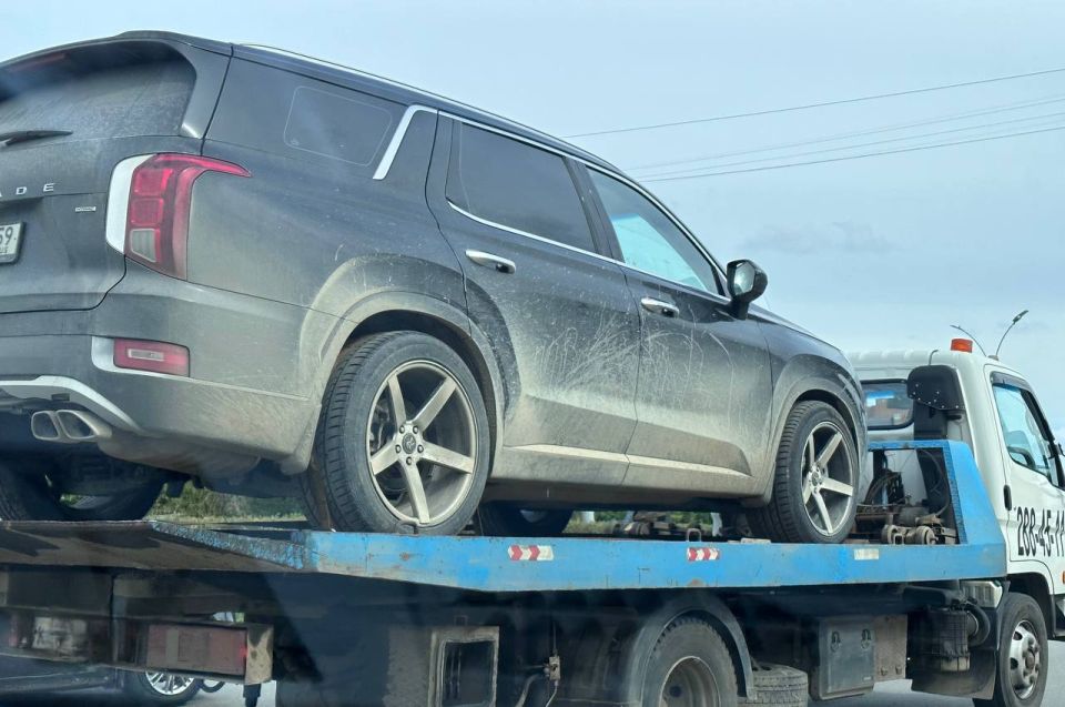 ����� 8 000 ����� � 2025 ���� ������������ �� ��������� ��� � �����