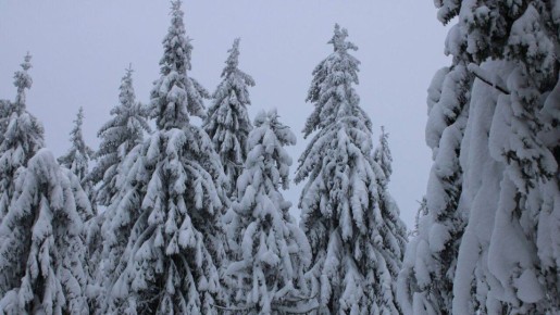 ������� � �������� ������ ���������� � �������� �� ������