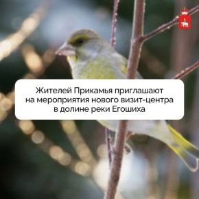 ������� �������� ���������� �� ����������� ������ �����-������ � ������ ���� �������