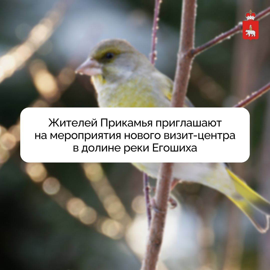 Жителей Прикамья приглашают на мероприятия нового визит-центра в долине реки Егошиха
