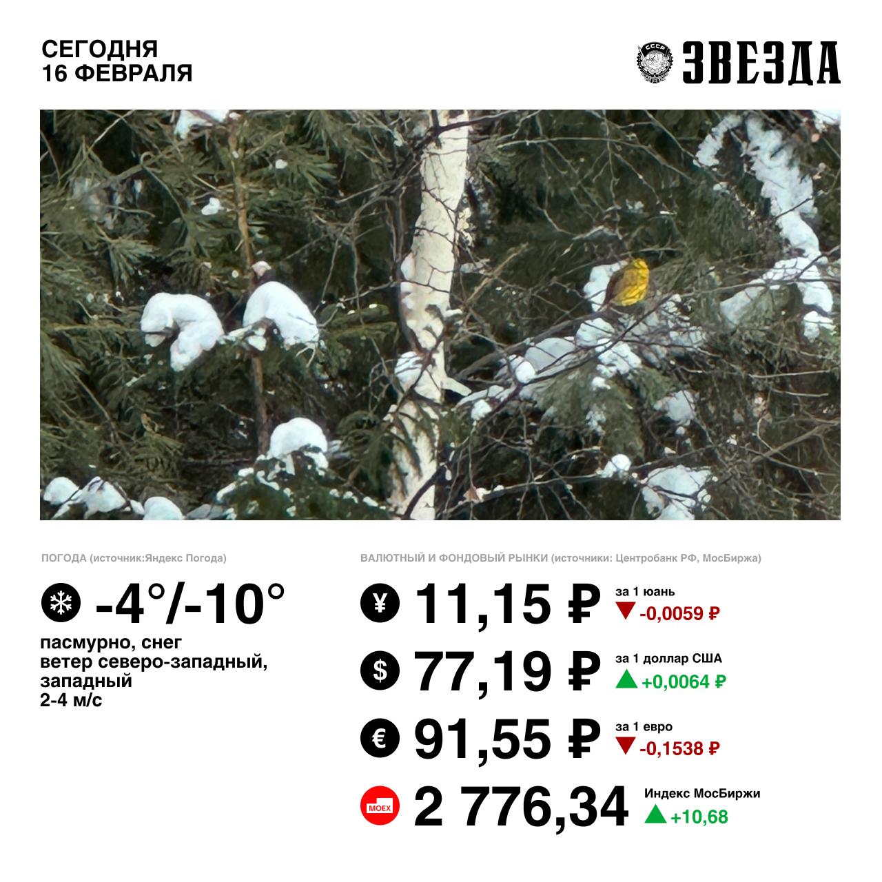 Доброе утро, Пермь!. Сегодня на улице будет комфортная температура