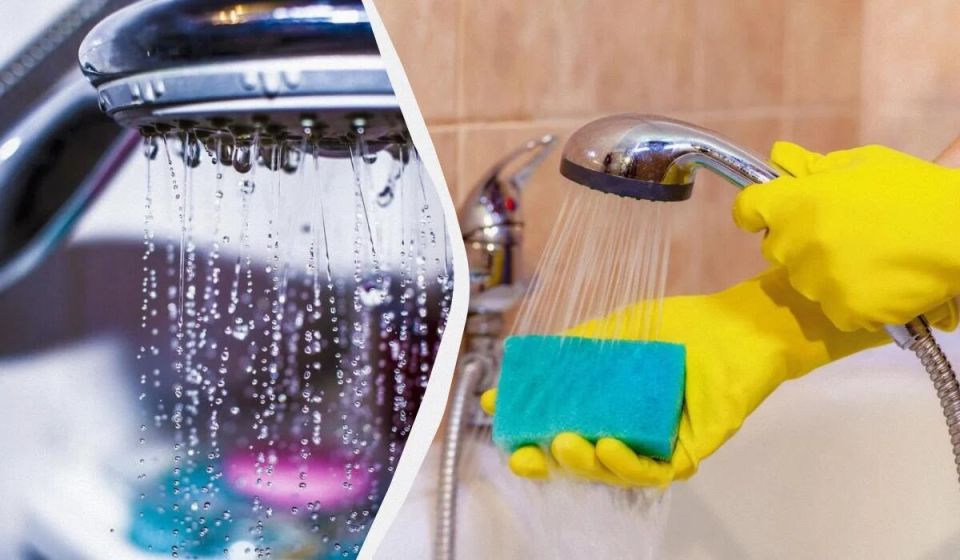 ��� �������� ������� ����� � �������: ��� ������� �����������