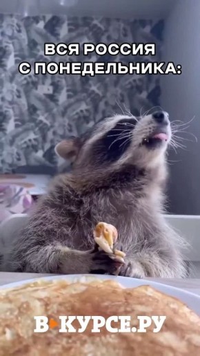 �������� ������� �� �� �����.��