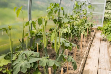 ������ ����� ������� �� ������������ � �����?