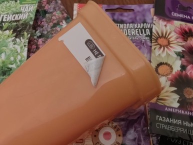 ��� ���������� ������� ������ �������� � ����� ���� � ��������� ����: ����������� �������