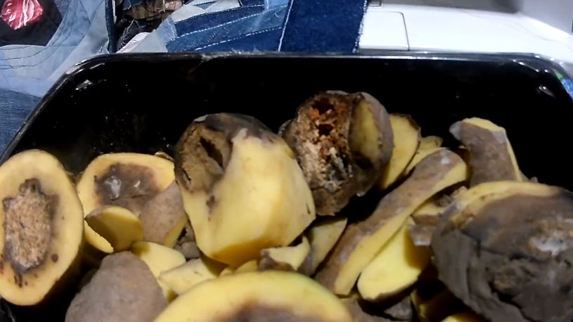 Как проверить готовность картофеля: секреты, которые спасают урожай