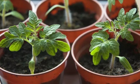 ����� ��������� ����� ������� � ����� �������