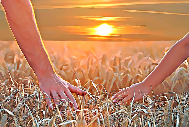 Как восстановить свои границы и отстоять место под солнцем