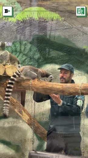 ��������� ����������� ����� � ������� ��������� �������, ������!� �� ��� �������� �������� ���� ������� � �������� ��������, �� ����� �� ��������� �����