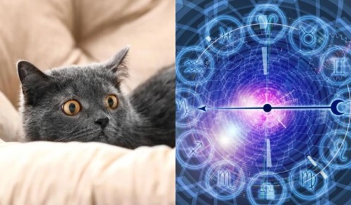 ����� �������� � ����� ����� � ����������� �� ����� �������