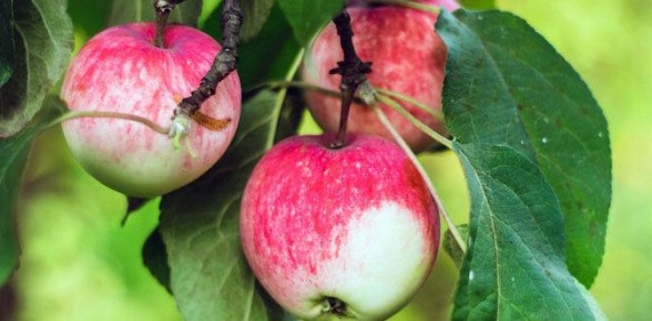 ��� ��������� ��������� ������� ��� �������� � ������� �������