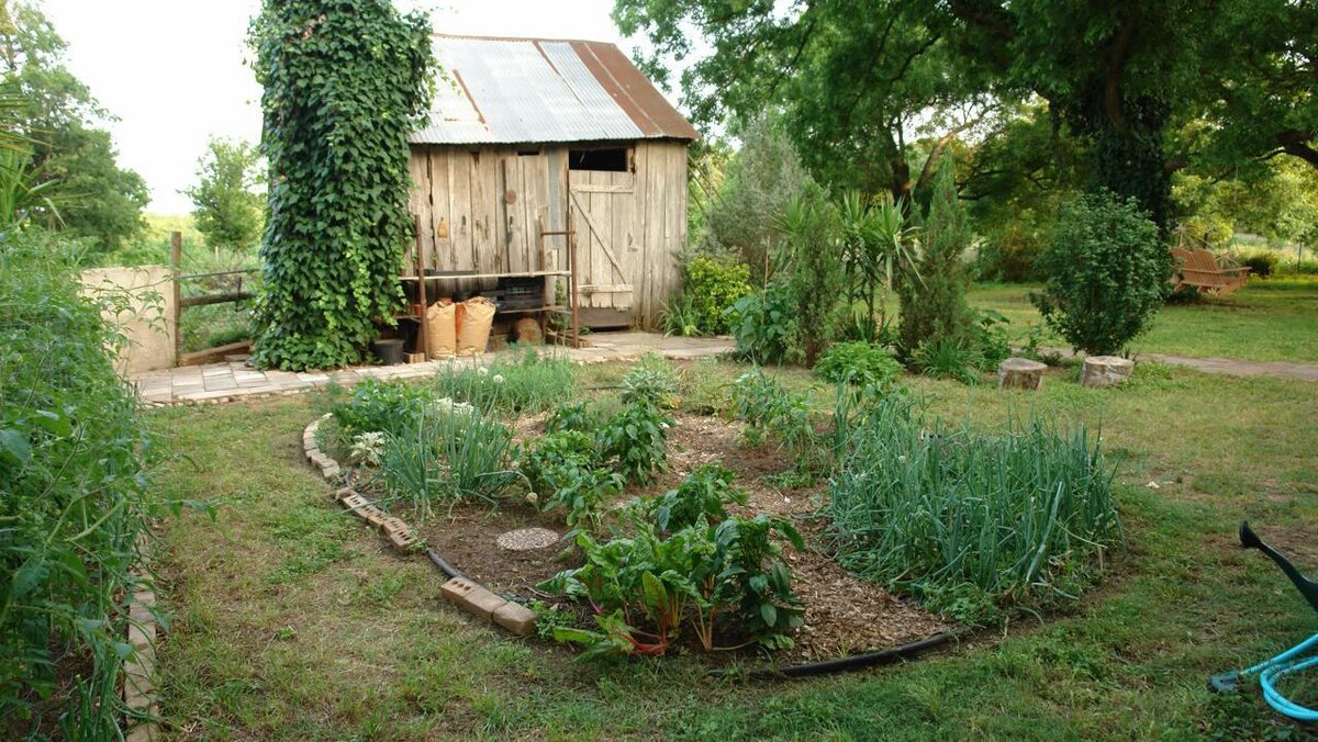 Плодожорки: Как справиться с опасными вредителями садоводства