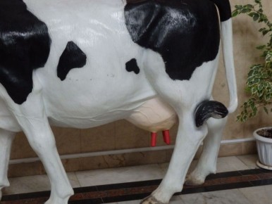 ��� ���������� �������� � ������� ����� ������: ���� �� ������� ������