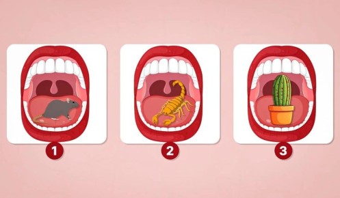 ����� ������ �������� ���� ��������: ��������� ���� � ���� ��������������� ������