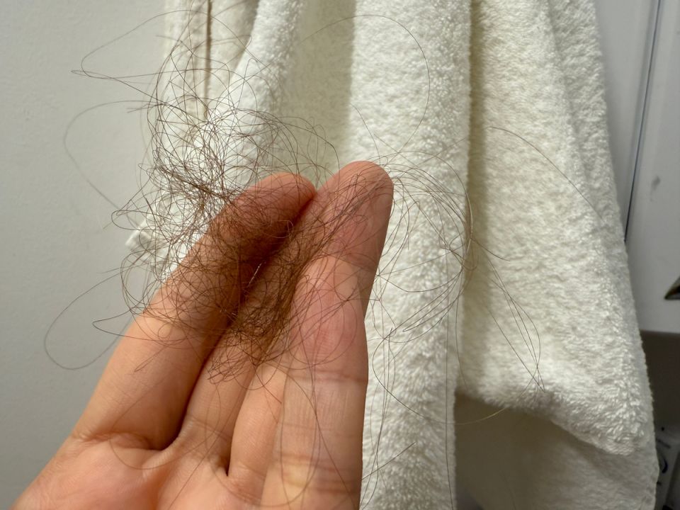 ��� ���� ����� ������ ���������� ��������� ����� � ���������� �� �������