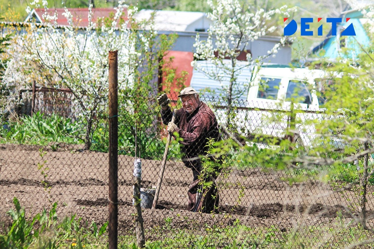 Изменения для пенсионеров с дачами: что ожидать с марта 2026 года