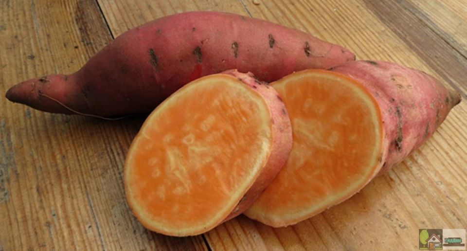 �����: ��������� � �������� ����, � ������� ����� ������ ������