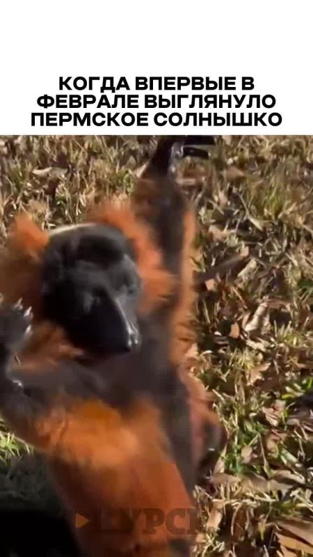 �������� ������� �� �� �����.��