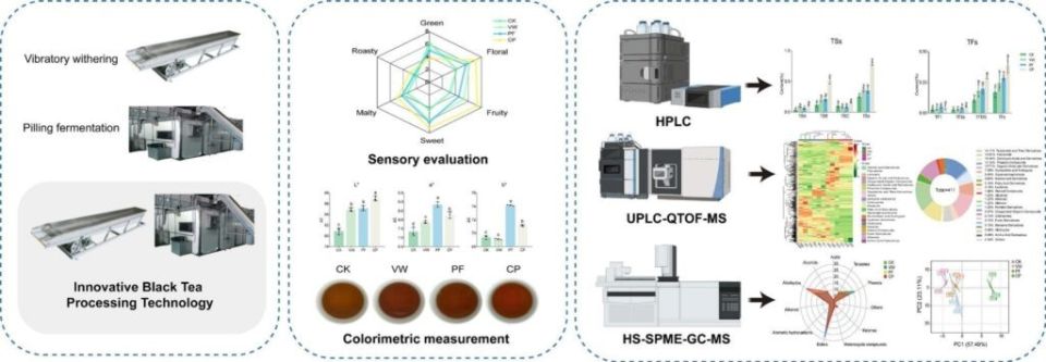 ��������������� ����� � ���� ���: ��� ������������� ������ �� ��������