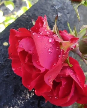 ������� ������: ��� ������ ����� ����� �������� ����� ���������