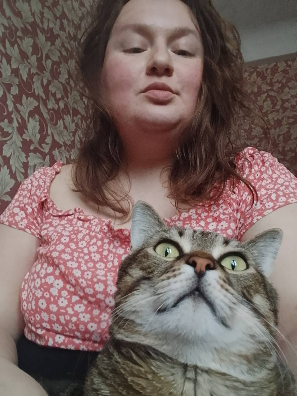 Анна Долгарева: Друзья, тут такое дело.. У моей подруги, чудесной талантливой поэтессы Лены Перминовой из Ростова-на-Дону заболел кот Орфей. И лечат, и лечат, и Лена уже что могла отнесла в ломбард, но еще надо оперировать... Анна Долгарева: Друзья, тут такое дело.. У моей подруги, чудесной талантливой поэтессы Лены Перминовой из Ростова-на-Дону заболел кот Орфей. И лечат, и лечат, и Лена уже что могла отнесла в ломбард, но еще надо оперировать...