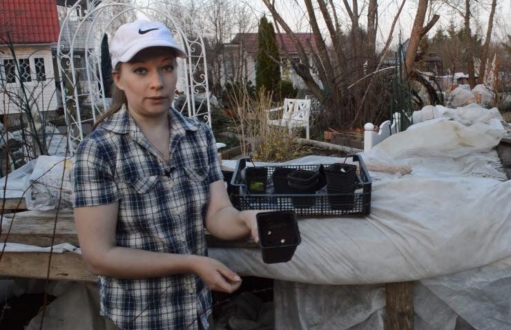 ��� ������� ��������� ������, �������� � ������ �� ������� � ���