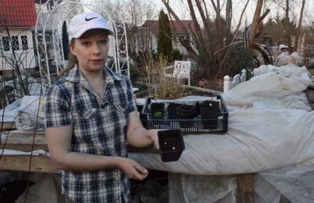 Как успешно вырастить фасоль, кукурузу и арахис на рассаду в мае