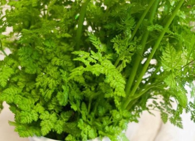 ��� ������� ��������� �������� �� �����������