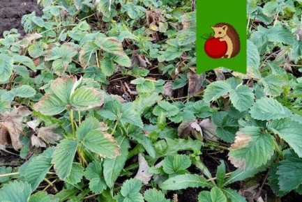 ����� ����� �������� �������� � ��� ����, ���� �������� �����