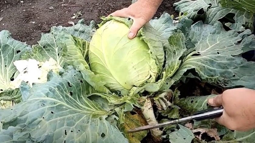 ������� ��������� �������� ��������� ��������� �� �����