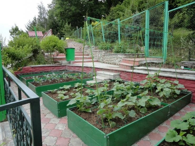 ��� ������� ��������� ���: ������� ������������� ���� ��� �����������