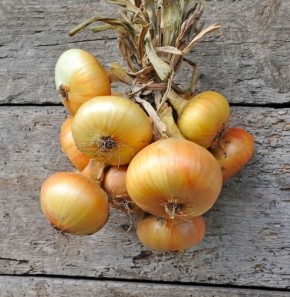 ��� ��������� ������� ��� �� ��������� �����������