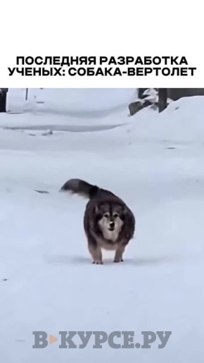 Вечернее, веселое на «В курсе.ру»