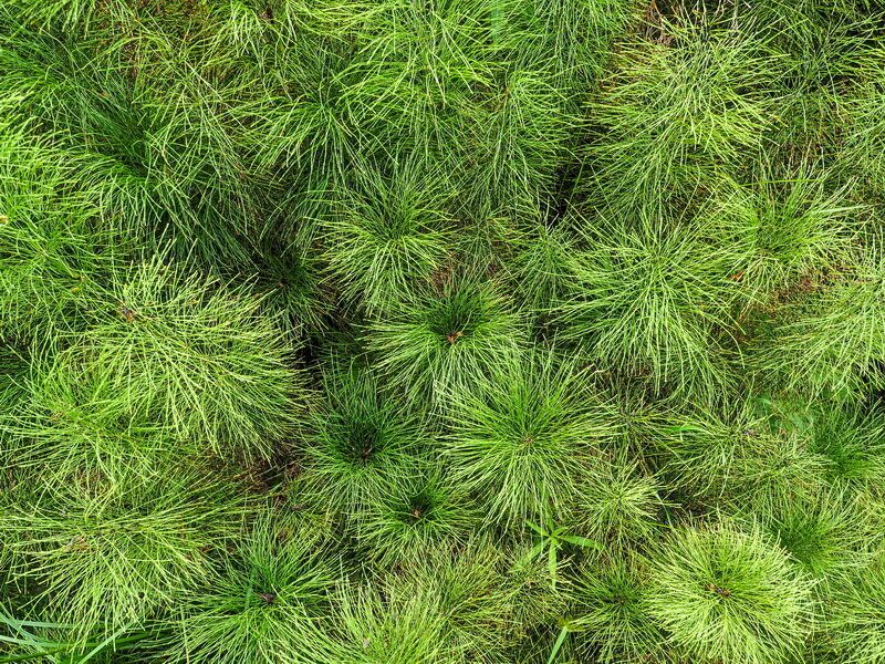 ��� ���������� �������� ������� ���� �� ����� �������