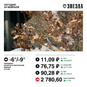 ������ ����, �����!. ������� � ������ ��������� ������ ������ ��� �������