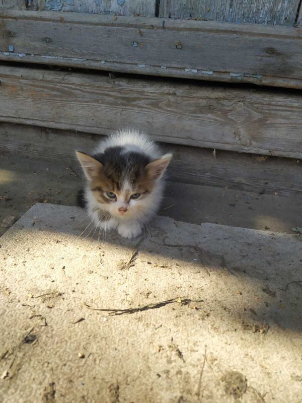 ����� �������� ������ �� ����: ��� � ���� ������?