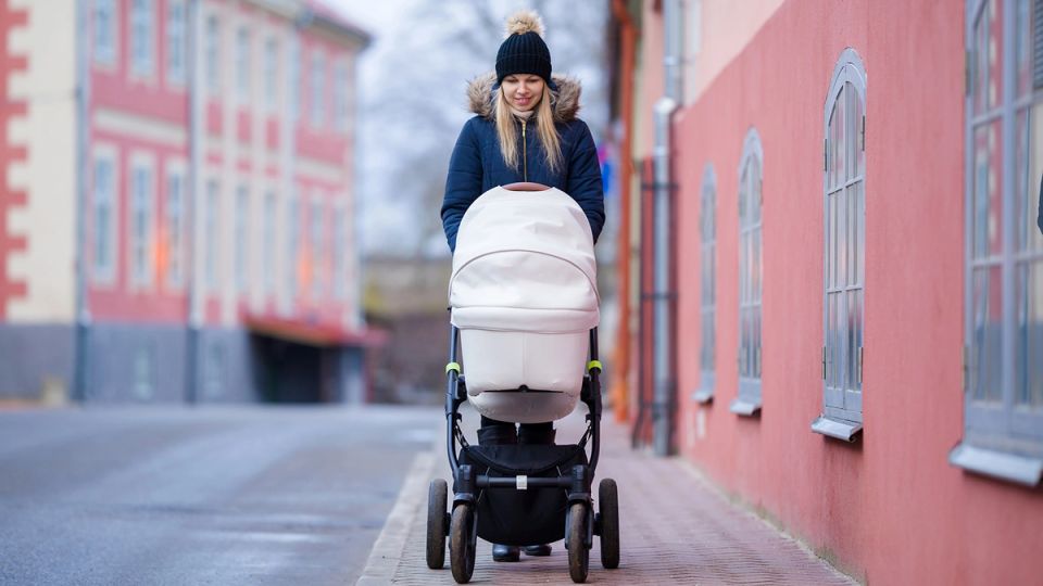 ��� ����� ����� ��������� � �������� ��� ���������� ������� � 2026 ����